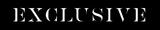 Exclusive Estate Agents - PICTON