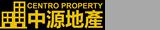 Centro Property