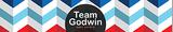 Team Godwin Real Estate