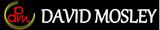 David Mosley Real Estate