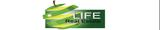 Life Real Estate WA - KARRINYUP