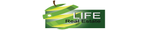 Life Real Estate WA - KARRINYUP