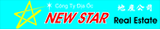 New Star Real Estate - Canley Heights 