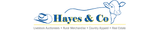 Hayes & Co